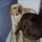 Polo y Loira siempre juntos.